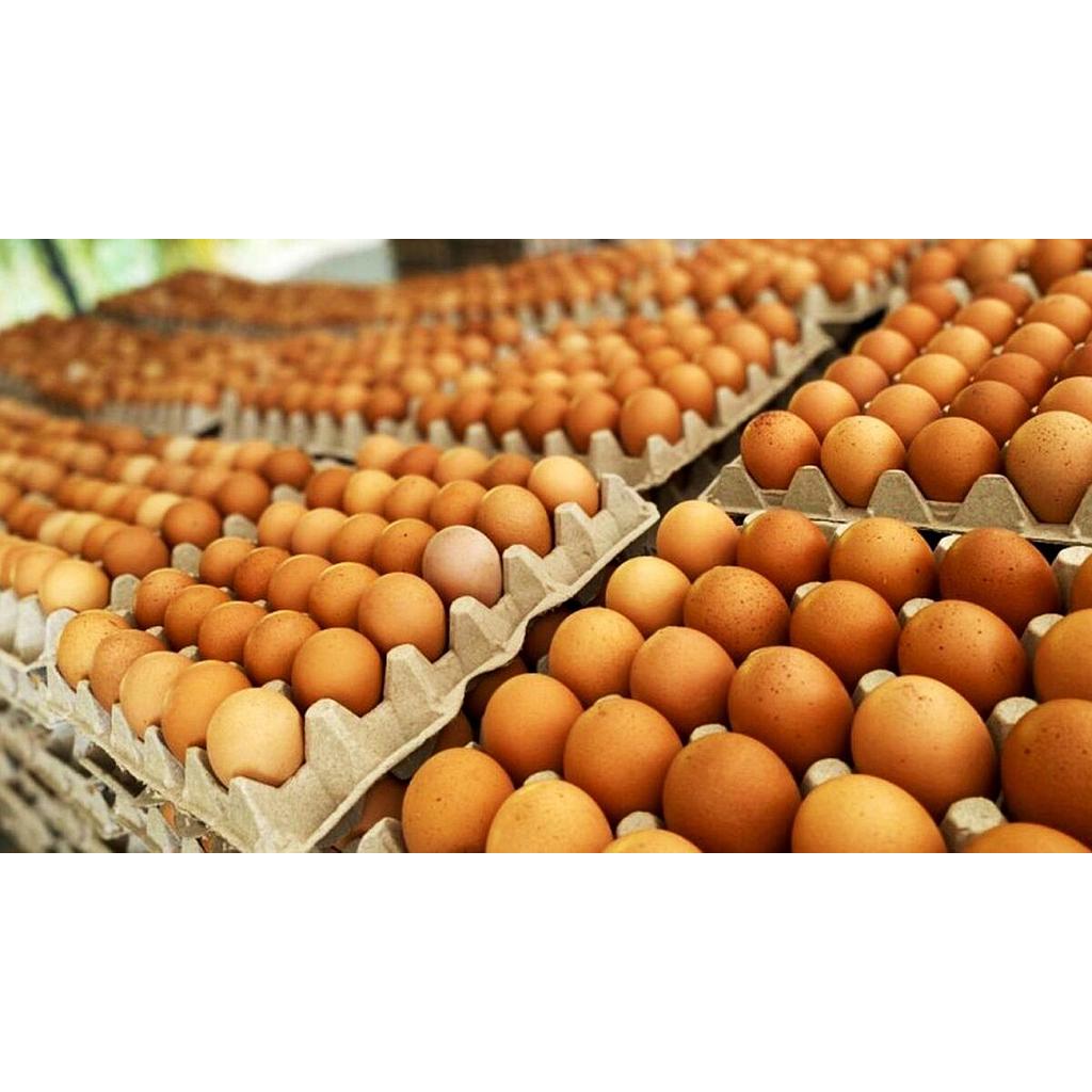 HUEVOS PLANCHA DE 30 UN